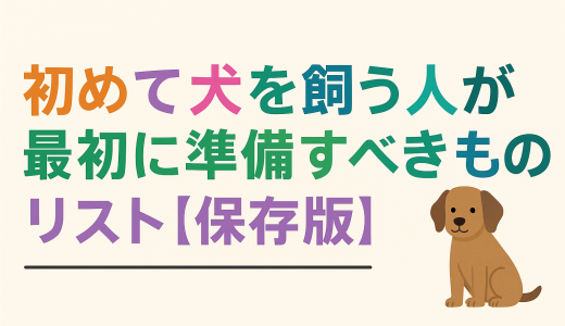 【2025年最新版】初めて犬を飼う人が最初に準備すべきものリスト【保存版】